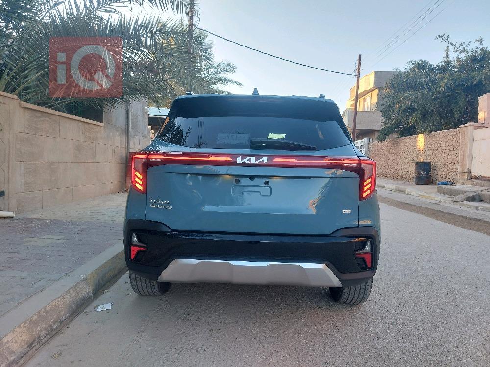 کیا سێلتۆس
